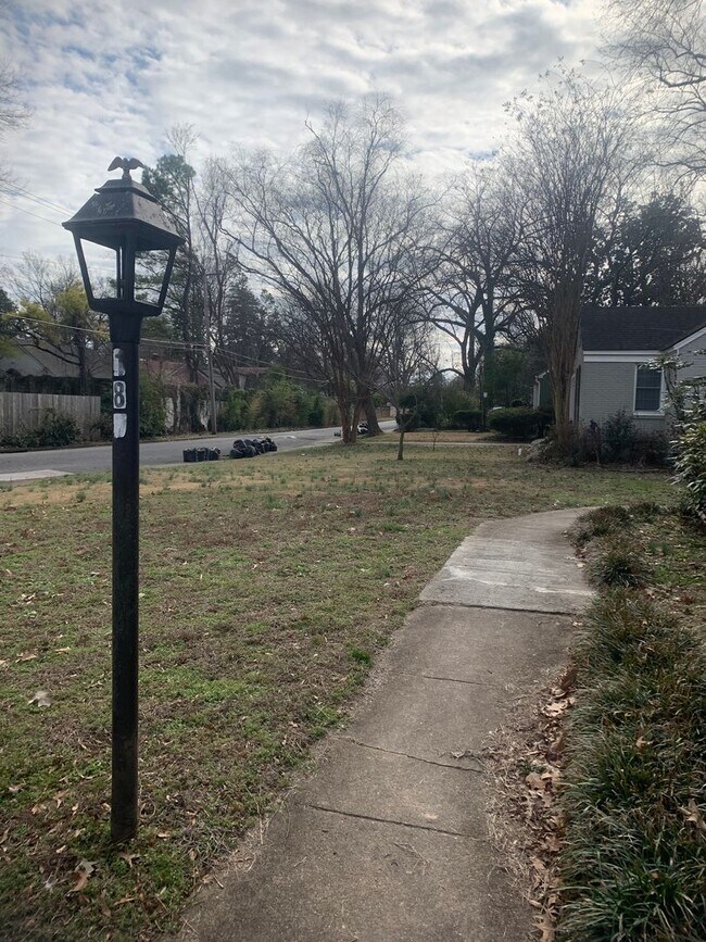 Building Photo - Newly Renovated Unit in Heart of Memphis