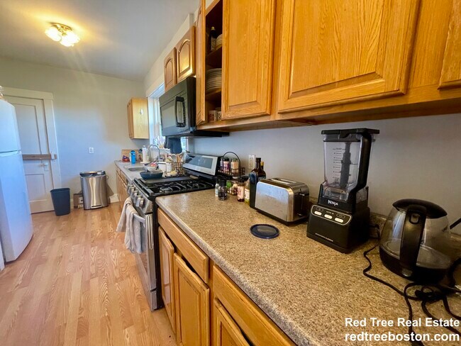 Foto del edificio - 209 Chestnut Hill Ave