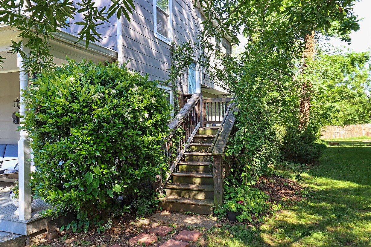 Building Photo - Charming Apartment in the Heart of Belmont