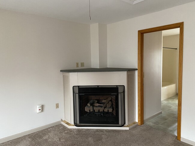 Gas fireplace - 11 Stahlman Pl