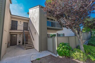 Building Photo - 25716 N Player Dr