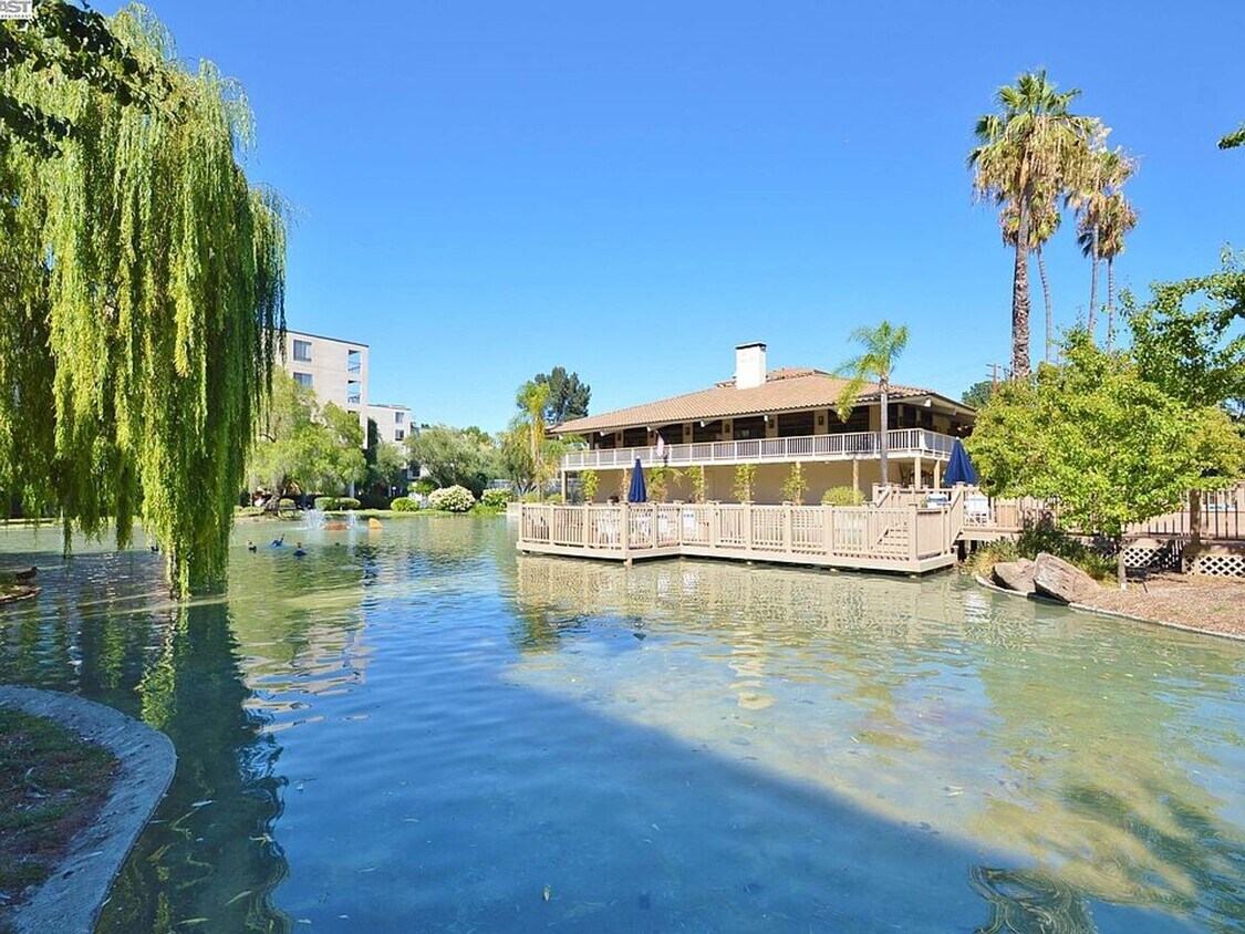 Primary Photo - Spacious Condo Near Downtown Walnut Creek ...