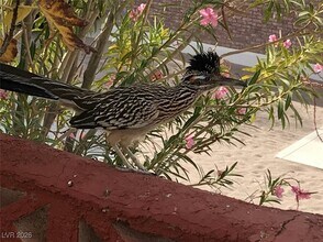 Building Photo - 481 Benedict Dr