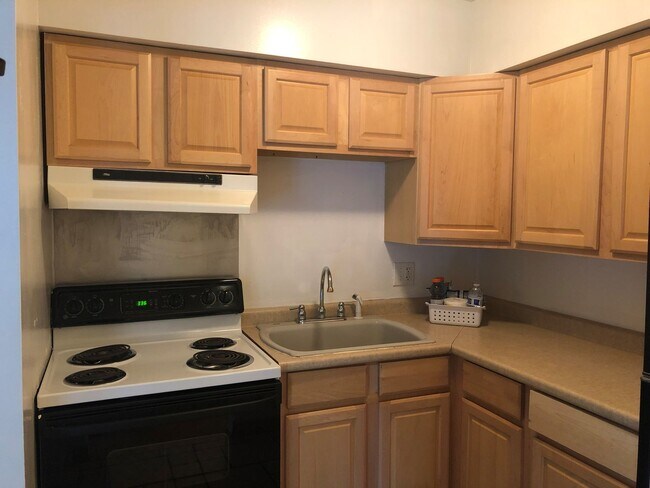 Foto del edificio - 1201 Greenwood - 2 Blocks from WMU Campus!