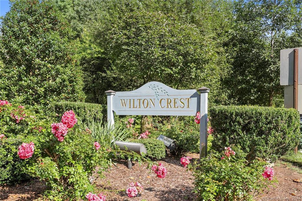 Primary Photo - 16 Wilton Crest