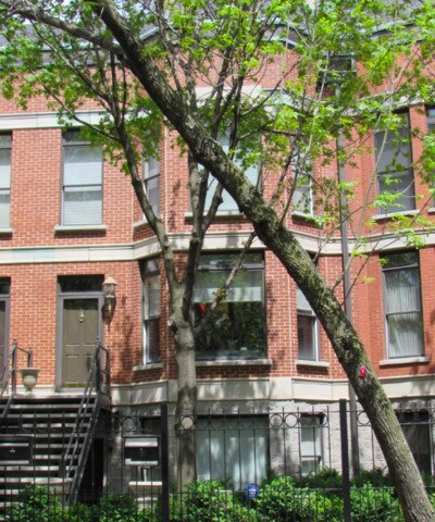 Primary Photo - 1542 W Jackson Blvd