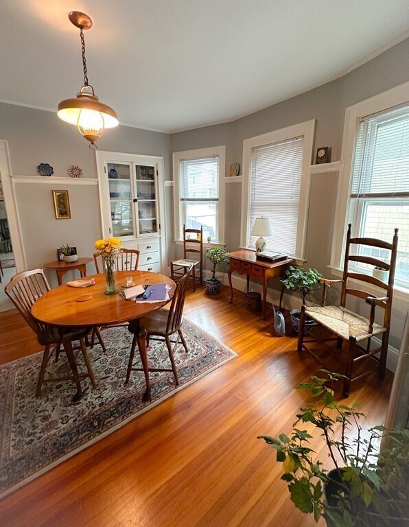 Primary Photo - 43 Trowbridge St