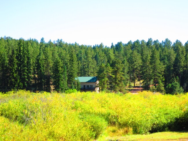 Foto del edificio - 15729 Pine Lake Dr