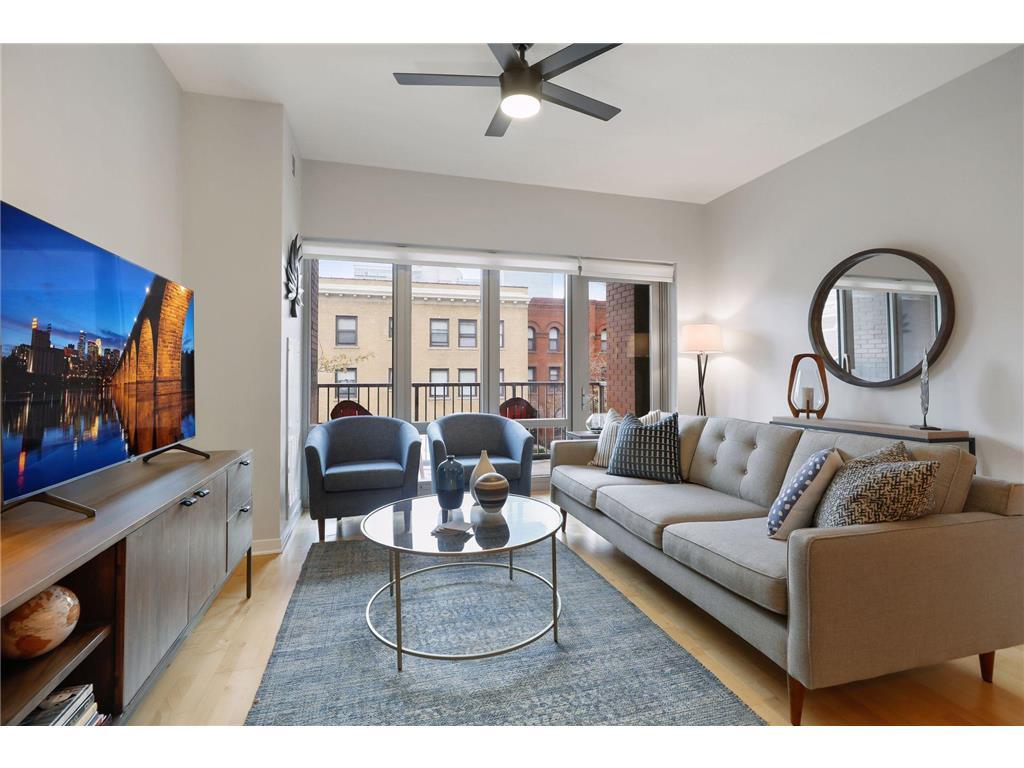 929 Portland Ave Unit 205, Minneapolis, MN 55404 Apartment for Rent