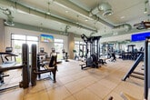 Located in Davie, Florida, this expansive fitness center offers a generously sized, single-floor exercise space designed to support a comprehensive workout experience. The room features high ceilings with prominently exposed HVAC ductwork finished in a soft sage green, lending the space an industrial-modern aesthetic that feels open and energizing. Large floor-to-ceiling windows line the walls, flooding the interior with natural light and offering views of the surrounding lush, tropical landscaping. The flooring throughout consists of durable, neutral-toned rubber tiles, providing both safety and comfort underfoot. The cardio section is well-equipped with a row of treadmills, elliptical trainers, stationary bikes, and cycling bikes — many featuring individual digital screens. The strength training area includes a multi-station cable machine system, selectorized weight machines by Matrix, a functional trainer, a power tower, and a variety of benches to accommodate a full range of exercises. Full-length mirrors along one wall enhance the sense of depth and allow users to monitor their form. Wall-mounted flat-screen televisions are positioned for visibility from multiple areas of the room. Glass entry doors at one end open to an outdoor area, reinforcing the bright, airy atmosphere that defines this well-appointed fitness facility.