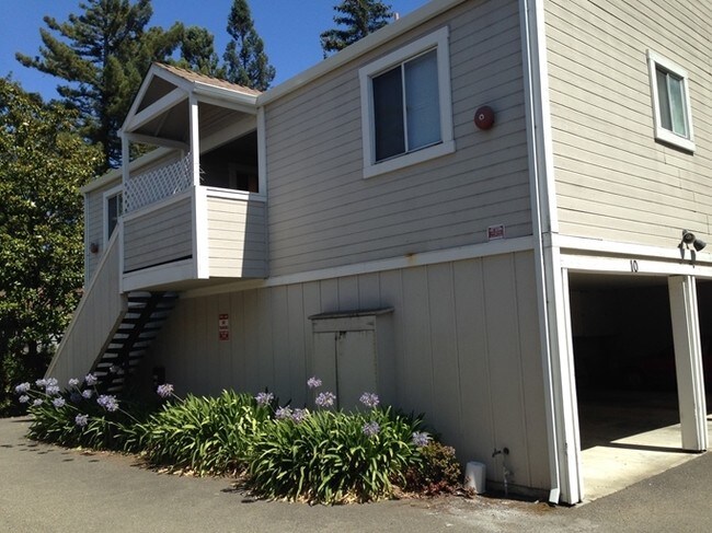 Building Photo - 487-489 Sonoma Ave