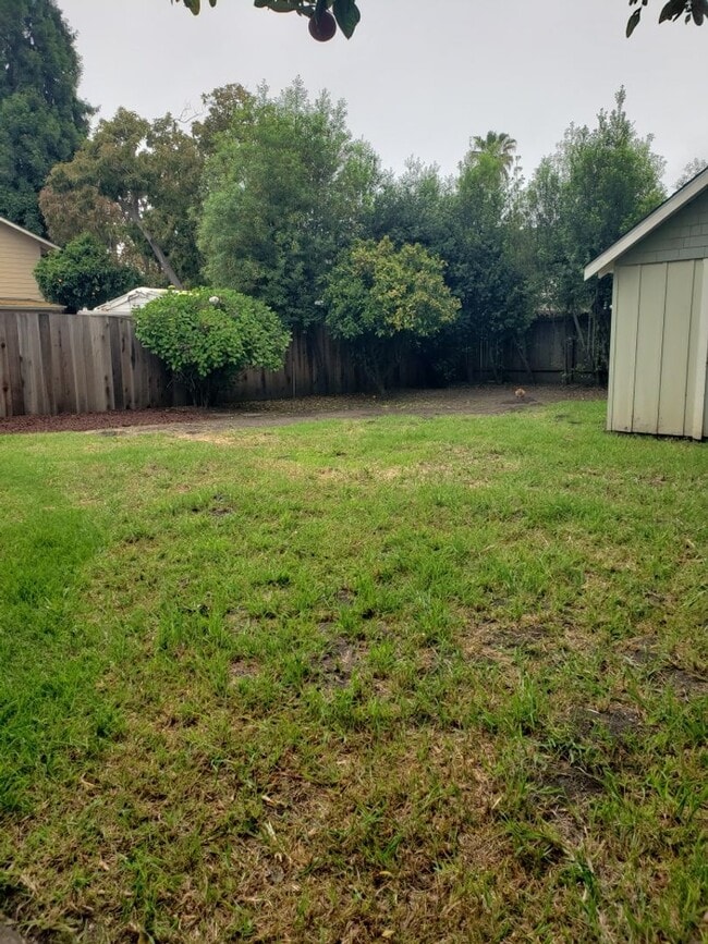 Building Photo - Beautiful 3 Bedroom 2 Bath Home in Heart o...