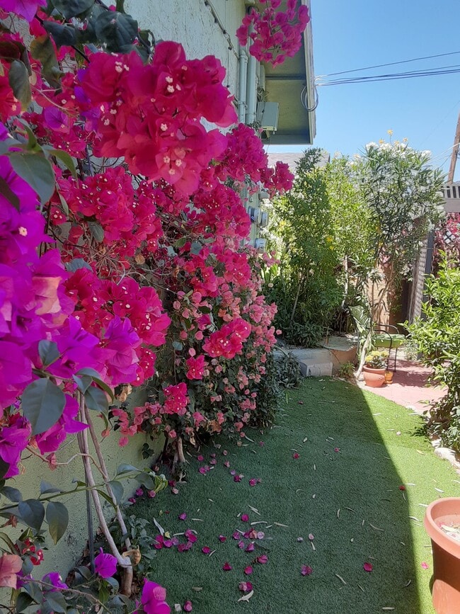 Building Photo - 13223 N 20th St