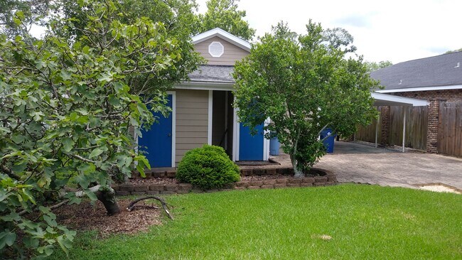 Fig Tree, Banana Magnolia, Storage, Utility, and Patio - 112 N Division St