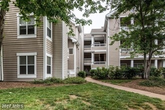 Building Photo - 14322 Climbing Rose Way