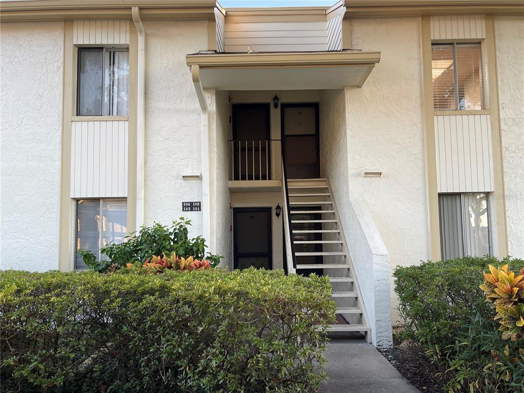 103 Palmetto Ct Unit 103, Oldsmar, FL 34677 Condo for Rent in Oldsmar