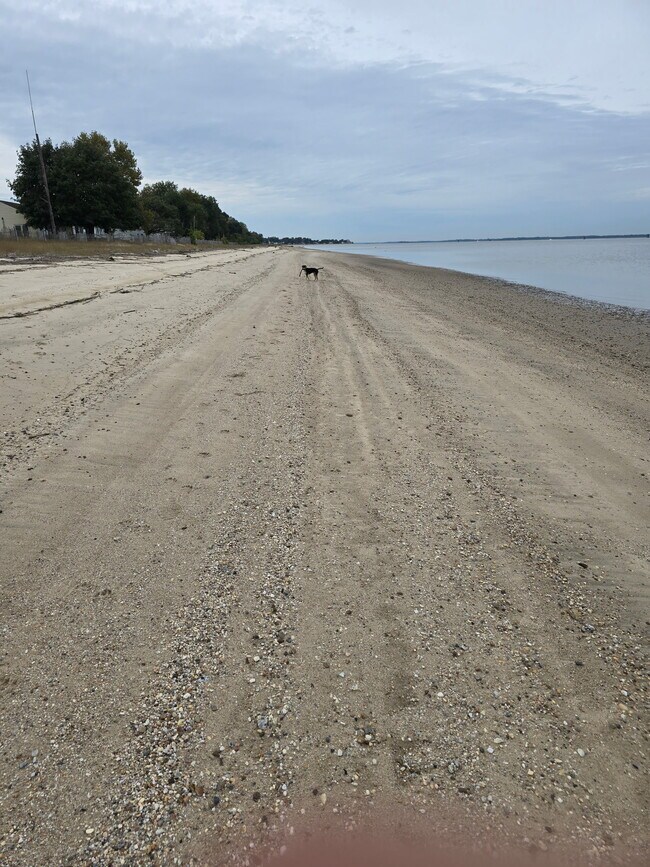 Foto del edificio - 18 Slape Ave