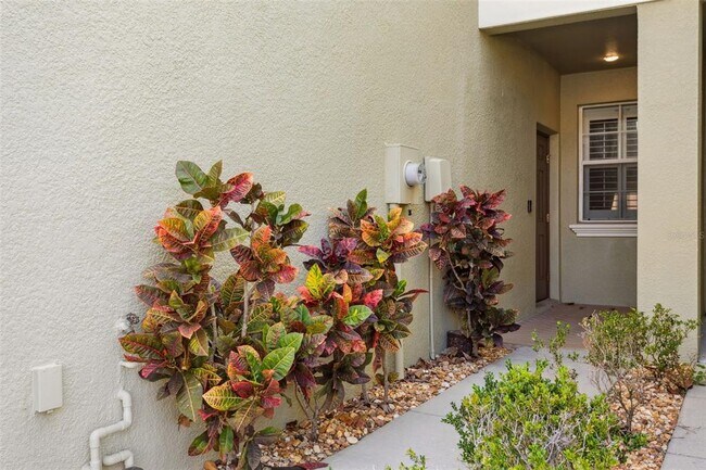 Foto del edificio - 9568 Trumpet Vine Loop