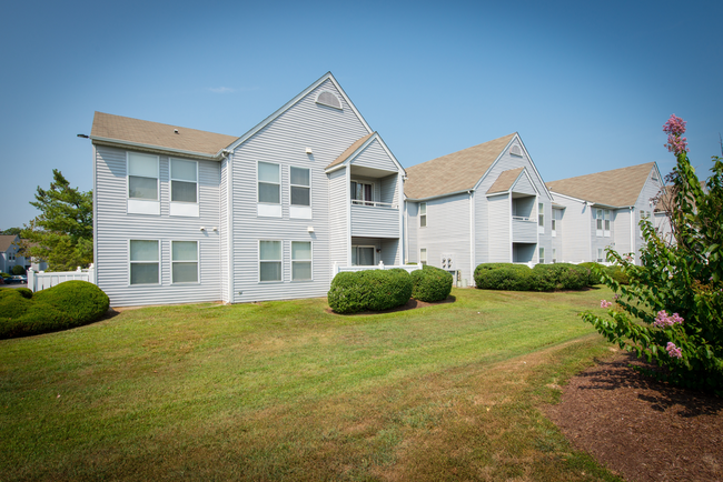 Building Photo - New Forest Apartments