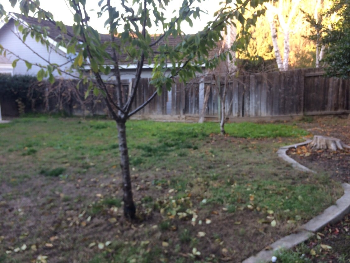 Building Photo - Walking Distance to Village One