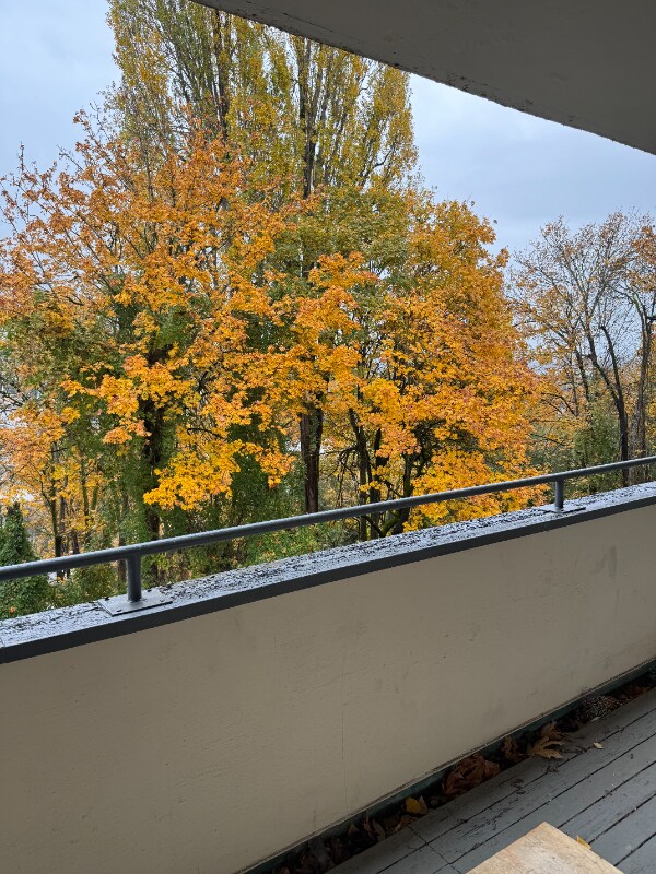 Foto principal - 4640 22nd Ave NE