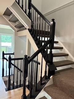 Custom easy-care carpet with New Black Painted Railings - 8026 Brightlight Pl