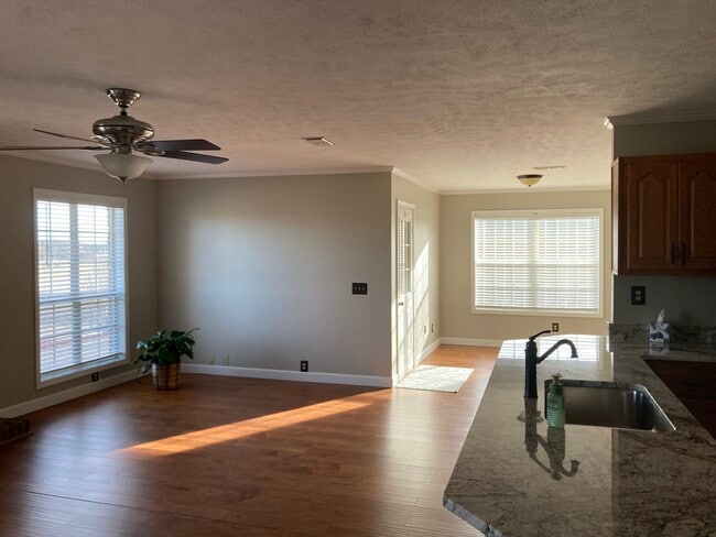 Living Room - 241 Elm Dr