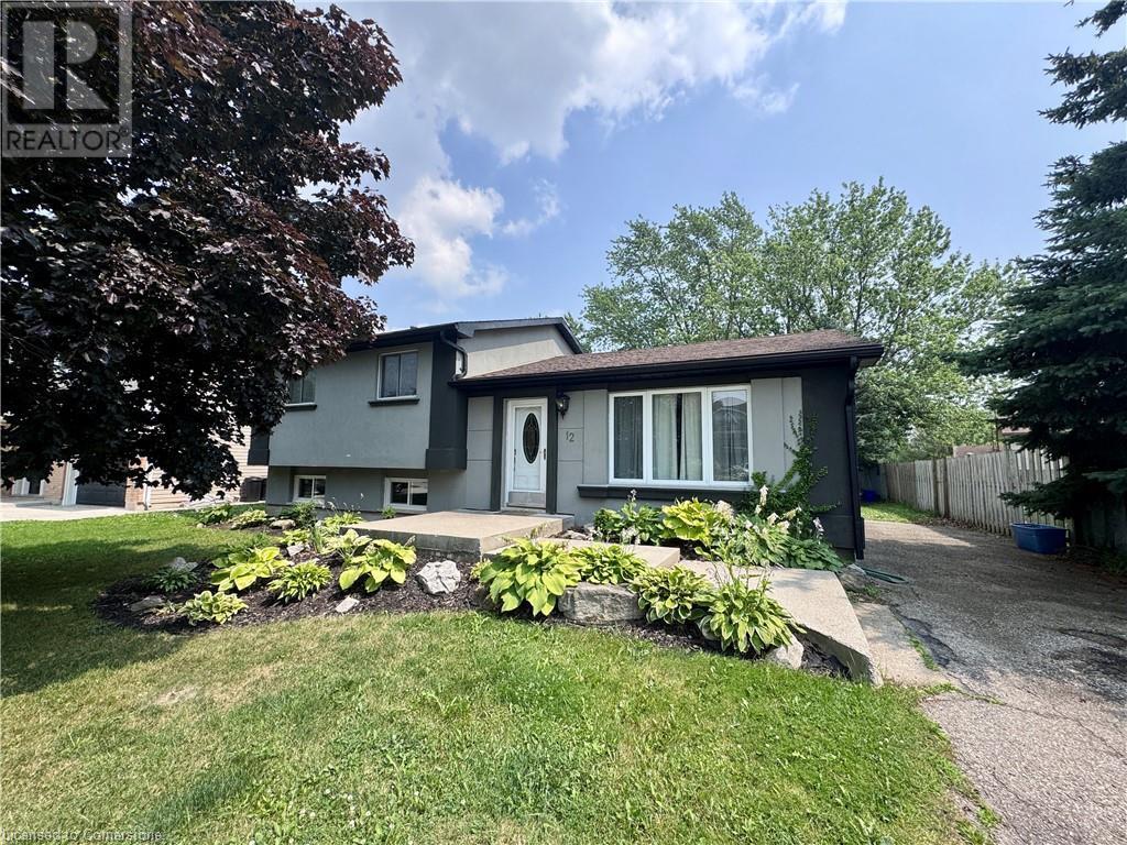 Primary Photo - 12 Marley Crescent