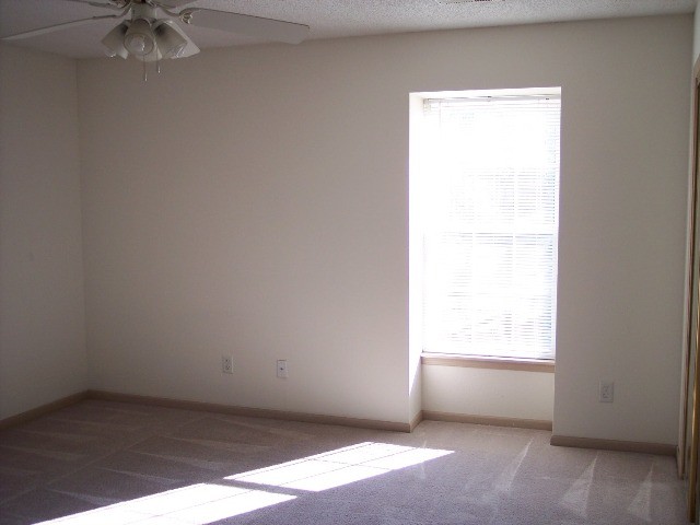 MASTER BEDROOM - 1201 Pebblecreek Dr