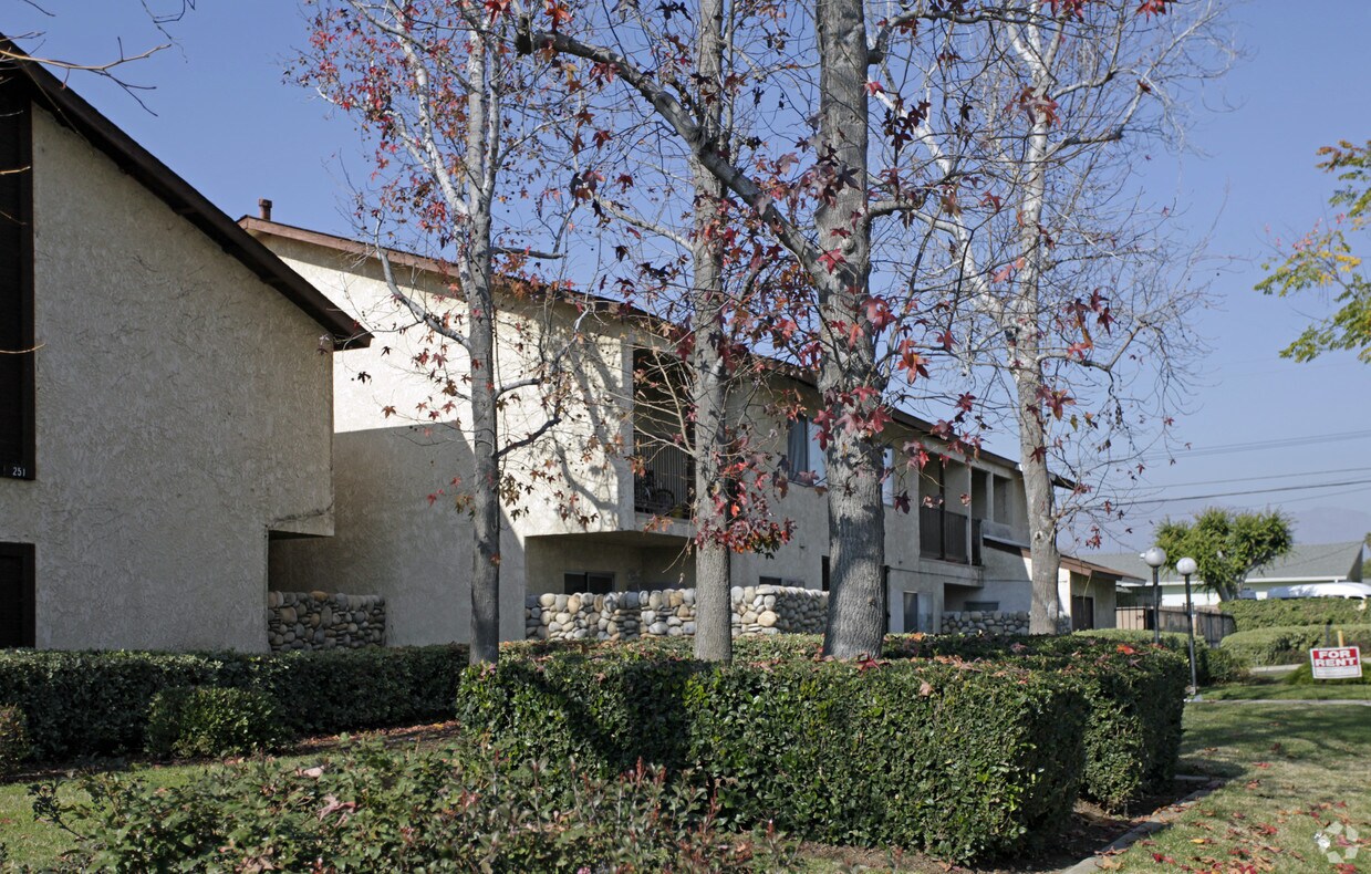 Foto del edificio - 251 N Elderberry Ave