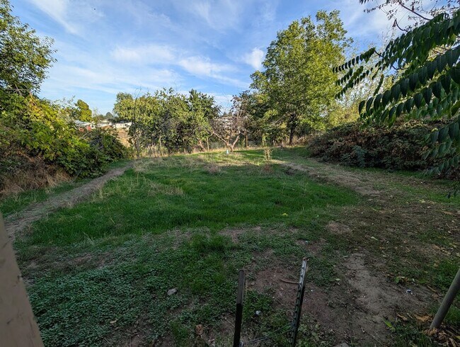 Foto del edificio - 2 Bedroom Pet-Friendly Orchards House with...