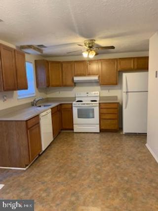 Foto del edificio - 11231 Joyceton Dr