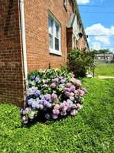 Building Photo - 2135 Seneca Rd