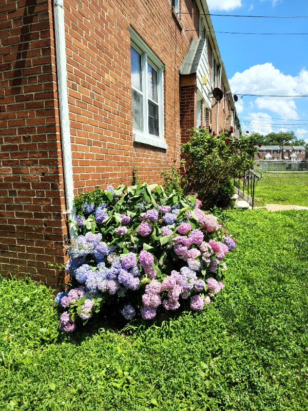 Foto principal - 2135 Seneca Rd
