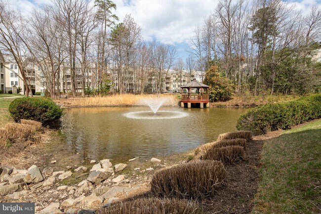 Foto del edificio - 12213 Fairfield House Dr