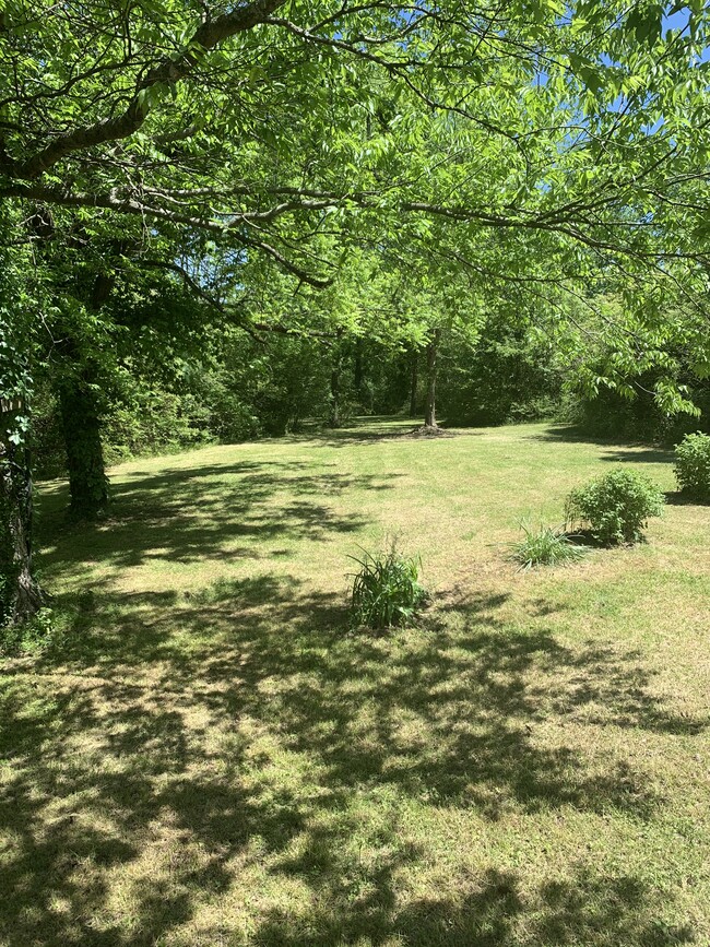 Back yard - 806 W Hillwood Dr