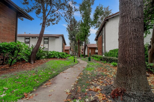 Building Photo - 31580 Agoura Rd