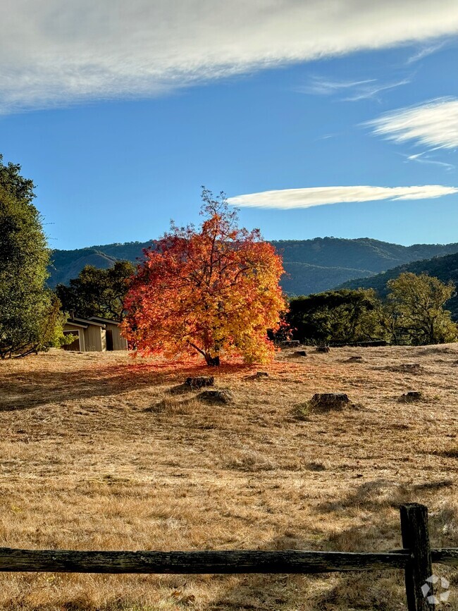 Building Photo - 31 La Rancheria