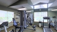 This fitness room offers a functional and comfortable environment for strength training and cardio exercise. The space is defined by a vaulted ceiling that adds vertical openness, complemented by flush-mounted panel lighting that ensures consistent illumination throughout. Green-painted accent walls provide a calm, neutral backdrop, while large windows along one wall allow generous natural light to fill the room and offer views of surrounding greenery.

The centerpiece of the space is a Precor multi-station cable and weight machine, which supports a wide range of strength-training exercises. An adjustable workout bench is positioned nearby for supplemental free weight or stretching exercises. A treadmill is situated along the windowed wall, taking advantage of the natural light and outdoor views. Instructional fitness charts are mounted on the wall, offering exercise guidance for users.

The room features durable, low-pile carpeting that balances comfort with practicality. A wall clock keeps users mindful of their workout time. The overall layout is thoughtfully organized, allowing multiple users to exercise simultaneously without feeling crowded, making this a practical and inviting fitness facility.