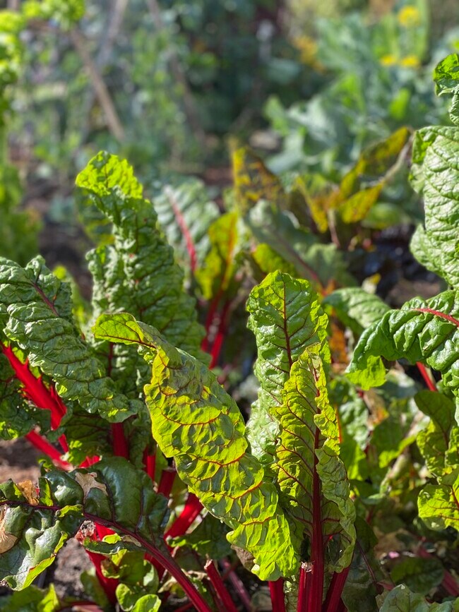 Foto del edificio - 6508 Dana St