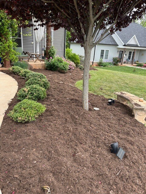 Foto del edificio - 42 Beech Tree Ln