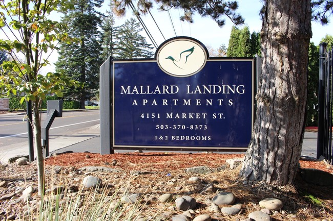 Foto del edificio - Mallard Landing