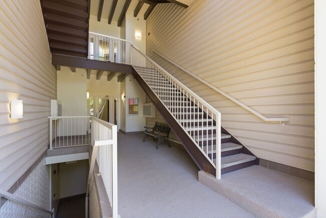 Photo - Charming 3BD/2BA in Island Creek Apartment