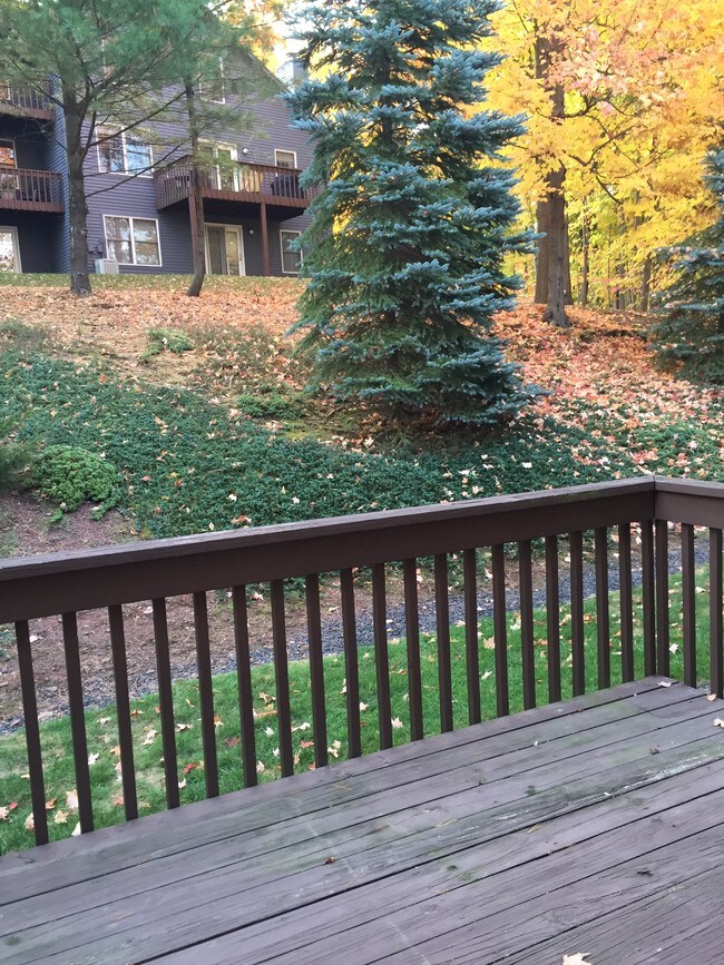 38 Crown Ridge, Newington, CT 06111 Townhome Rentals in Newington CT