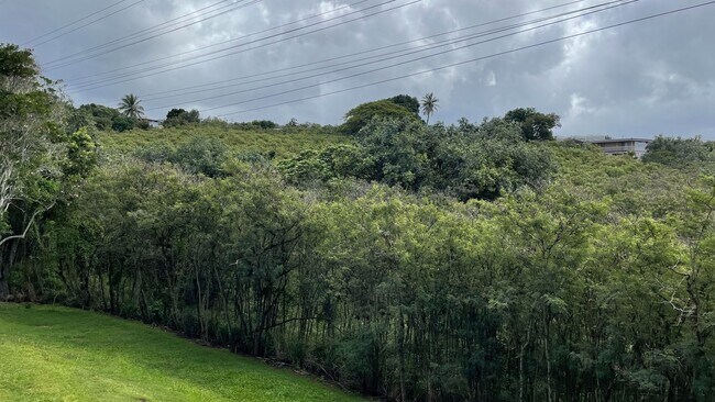 Foto del edificio - UPDATED 3 BEDROOM WITH 2 CAR GARAGE IN AIEA