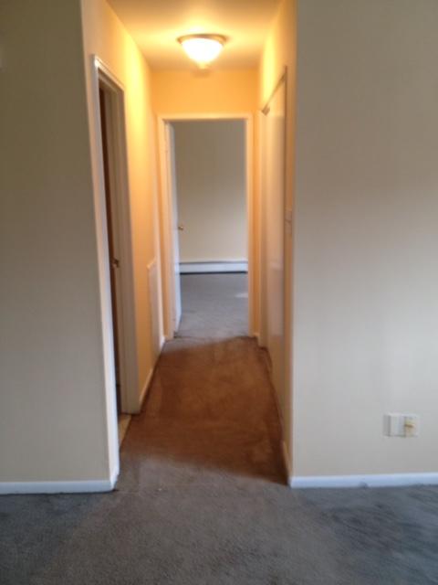 Building Photo - 4818 Comly St