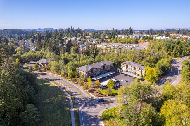 Aerial Photo - Double Creek Condominiums