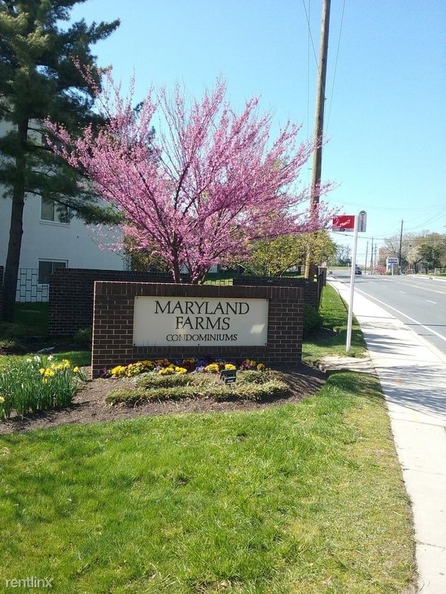 Primary Photo - 11404 Cherry Hill Rd