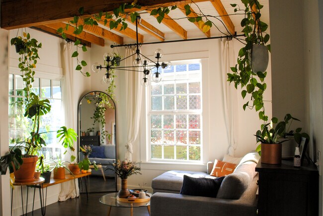 West Elm and Article furniture shown here and included in lease. - 5233 NE 18th Ave