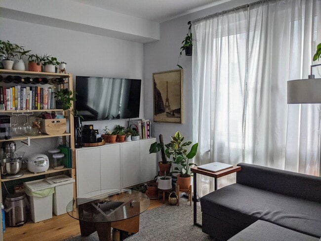 Wall mounted TV with Roku included - 388 Fulton St